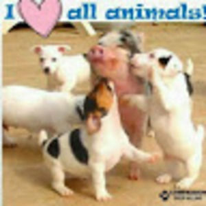 Meet your Posher, Lupe